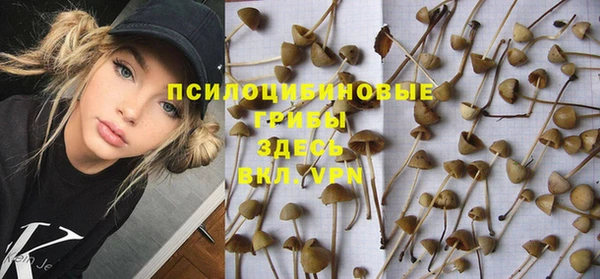 соль ск Белоозёрский