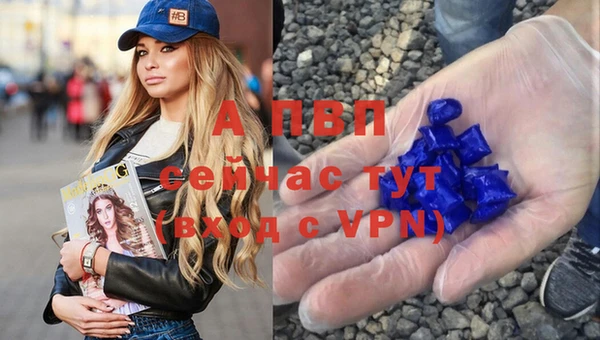 ALPHA PVP Белокуриха