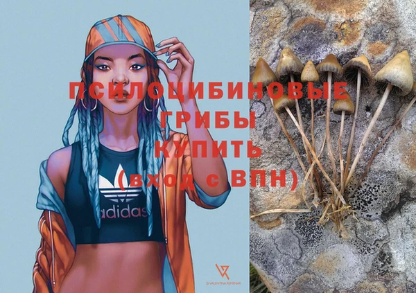 ALPHA PVP Белокуриха
